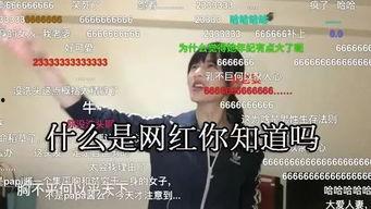 网红一一丫丫的微信号,揭秘微信号的魅力与影响力