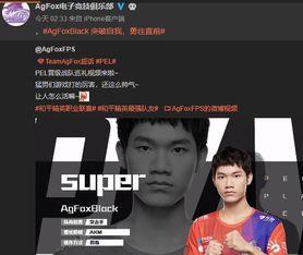 和平职业选手头条号,揭秘电竞选手的幕后故事与成长之路