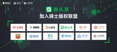 头条号哪里有版权保护,哪些平台提供严格的版权保护，避免侵权风险