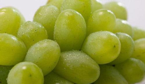 提子被爆料的新闻是什么,揭秘娱乐圈明星隐私泄露事件