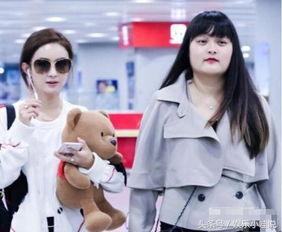 明星助理 迅雷下载,轻松获取热门资源