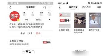 今日头条谁最多粉丝群,揭秘谁最多粉丝群