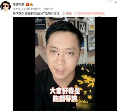 导演陈剑爆料视频播放在线观看,揭秘幕后故事，视频播放在线观看