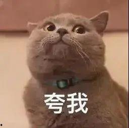 我想看网红吧表情包,趣味横生的网络文化盛宴