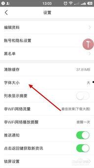 怎么设置头条字体大,打造个性化阅读体验