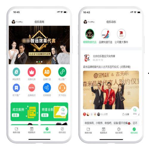 明星代言程序,揭秘明星效应背后的营销策略