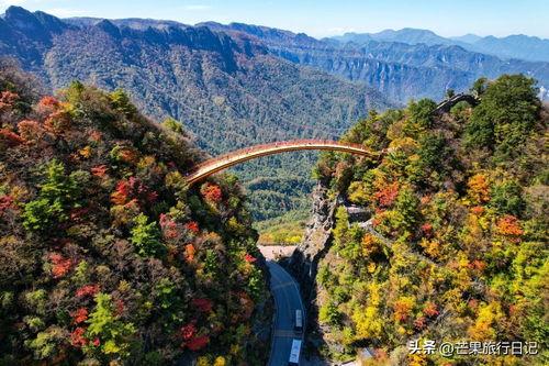 今日头条神农架景区,揭秘原始森林的奇幻之旅