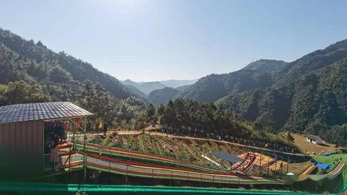 寿宁有哪些网红地方,探寻这座古县的时尚魅力