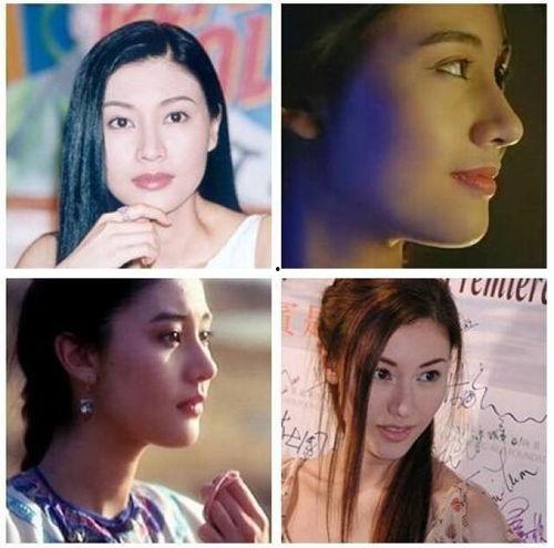 虎鼻的明星,揭秘明星们的独特魅力