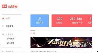 头条里的视频简介写什么,视频内容背后的惊人真相，不容错过！
