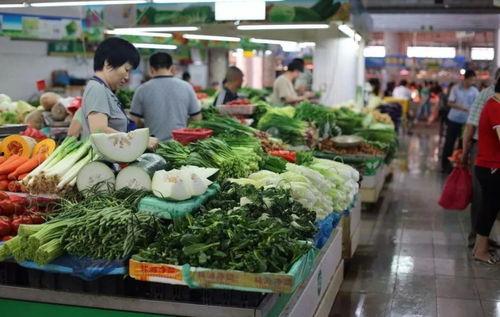 河南卖菜网红吃博洋瓜是真的吗,真相究竟如何？