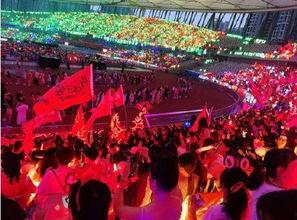 演唱会吃瓜事件,一场意外引发的舆论漩涡