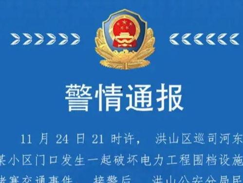 苏州园区警察的头条新闻,维护社会治安稳定